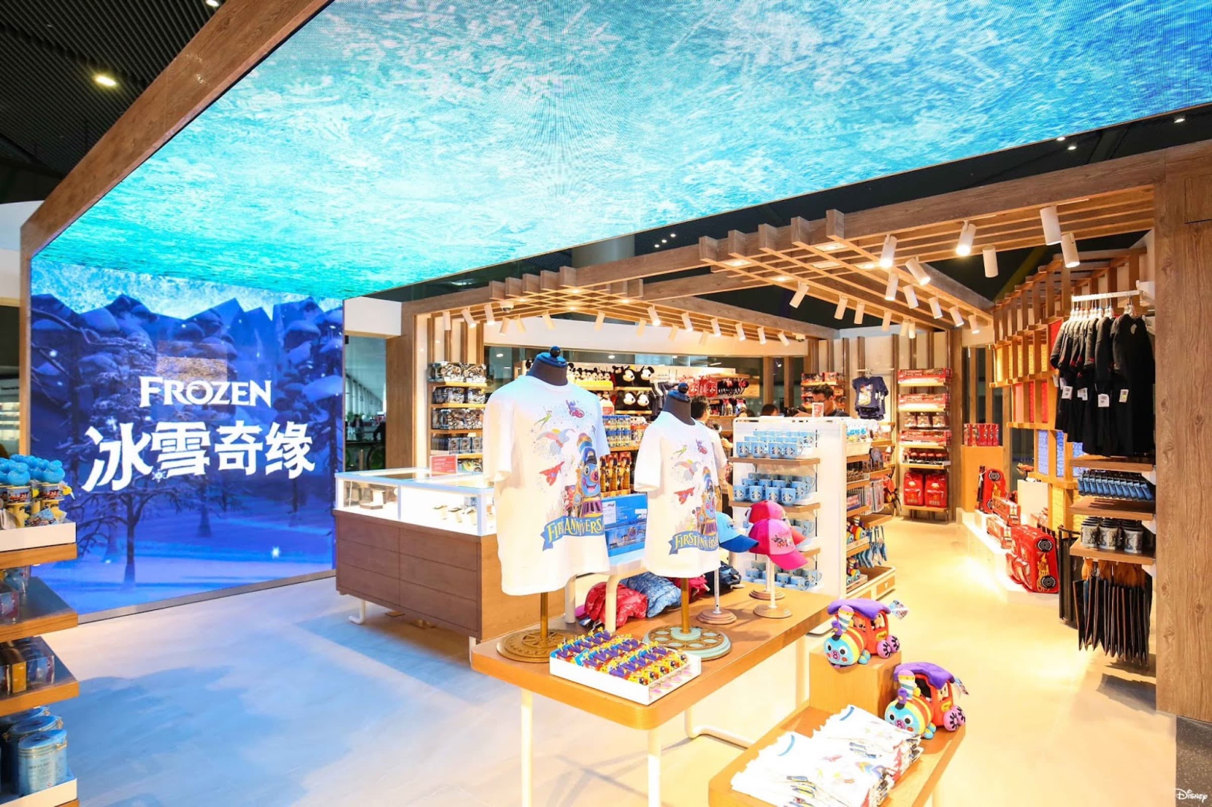 Frozen themed zone